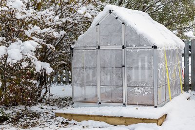 Work Off That Christmas Dinner by Giving your Greenhouse a Good Scrub