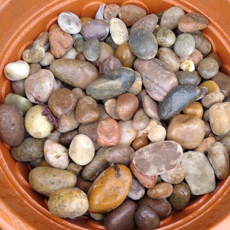 SCOTTISH PEBBLES